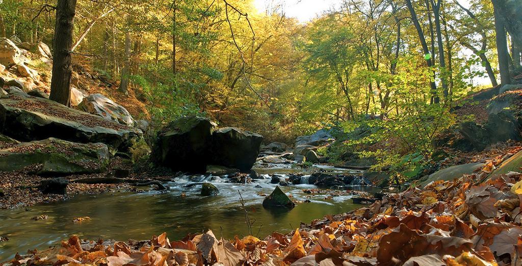 Au Bord Du Lac Otel Saint-Rémy-lès-Chevreuse Dış mekan fotoğraf